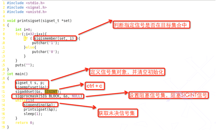 Linux信号的有关概念及使用_捕捉信号_14