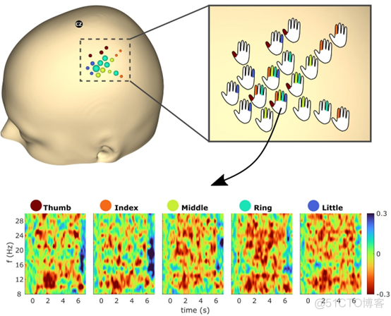 通过超高密度脑电记录系统实现单个手指运动精准解码_微信_07
