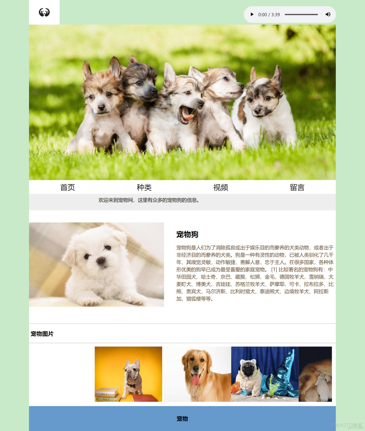 【web前端期末大作业】HTML+CSS宠物狗静态网页设计_css