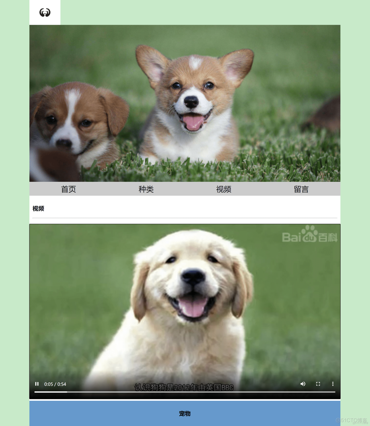 【web前端期末大作业】HTML+CSS宠物狗静态网页设计_html_03