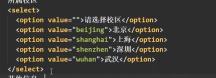 vue收集表单数据（2022-04-22学习笔记）_单选_06