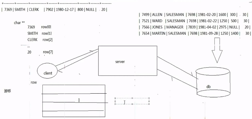 数据库编程——MySQL API_#define_24