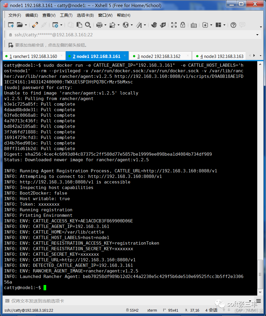 使用Rancher搭建K8S测试环境_json_08