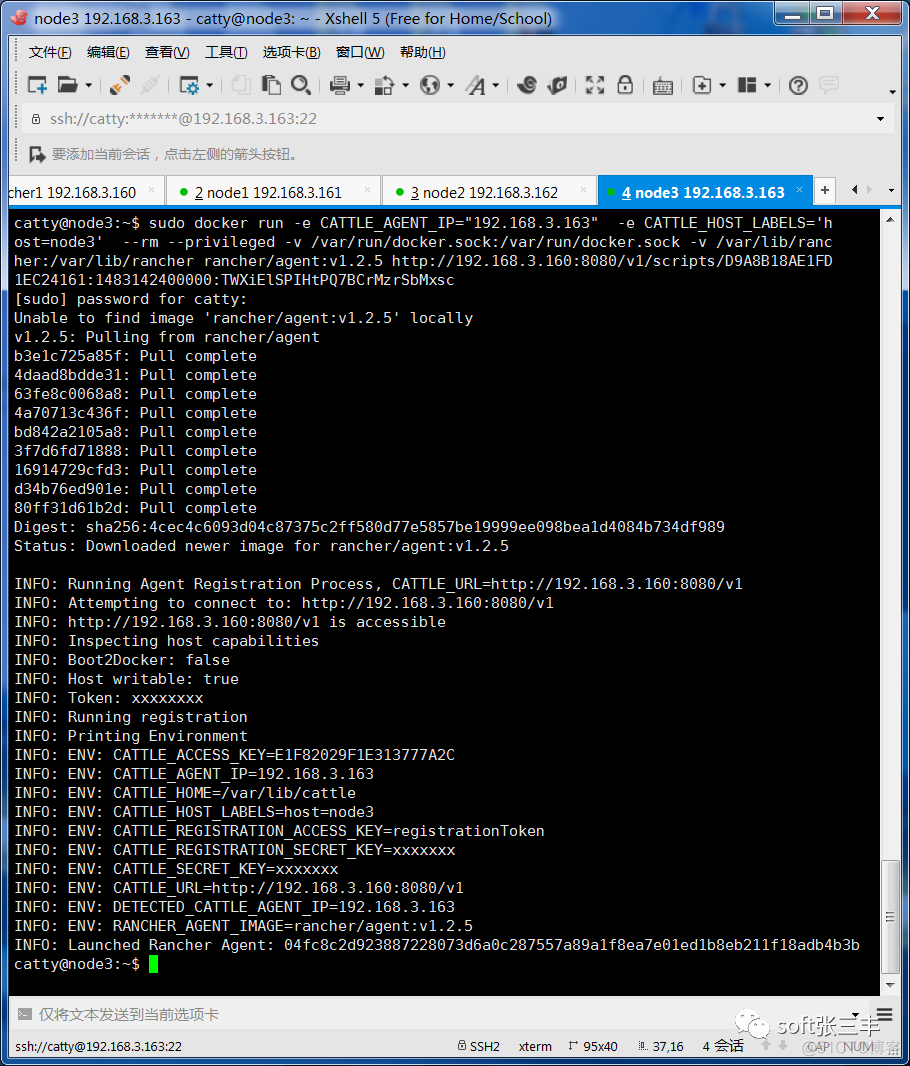 使用Rancher搭建K8S测试环境_json_10