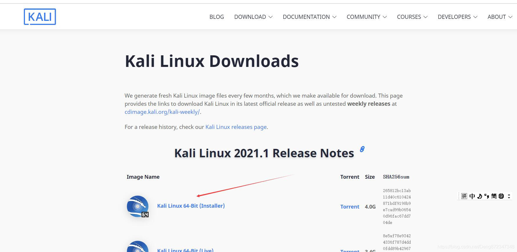 kali Linux的 安装详细步骤_自定义_02