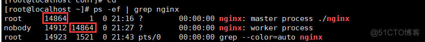 Nginx：Nginx热部署_配置文件_04