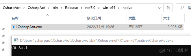 .NET 7 AOT 的使用以及 .NET 与 Go 互相调用_c#_06