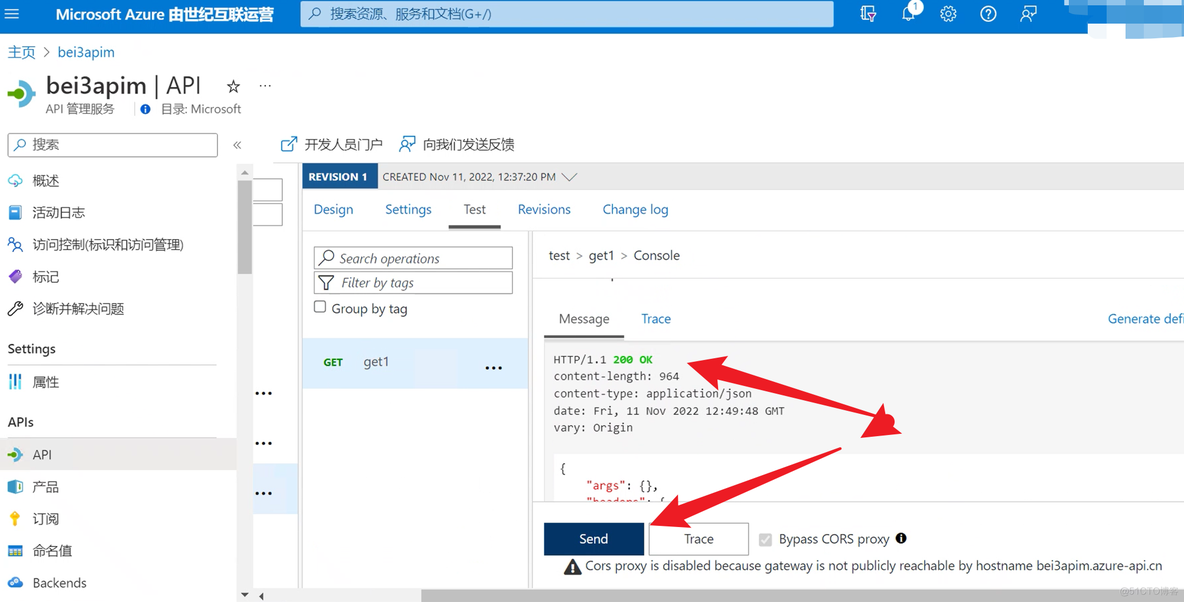 【Azure API 管理】Azure APIM服务集成在内部虚拟网络后，在内部环境中打开APIM门户使用APIs中的TEST功能失败_APIM内网_06