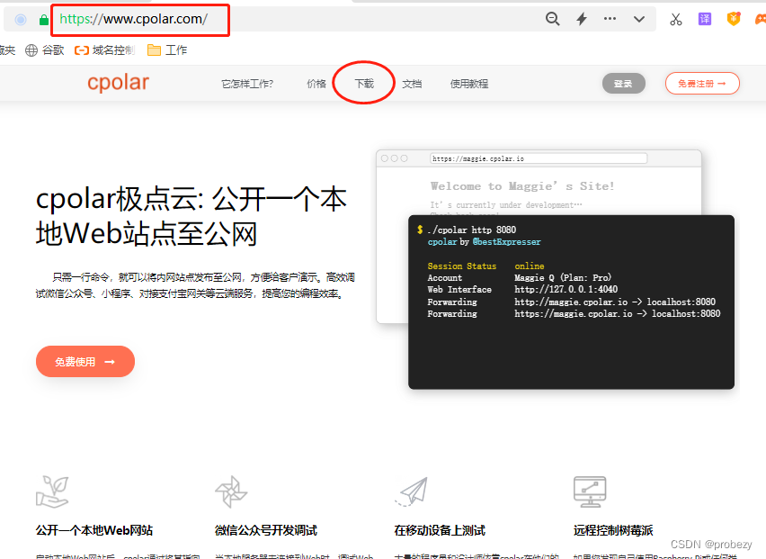 使用Cpolar+Cloudreve搭建强大的PHP云盘系统_php_21