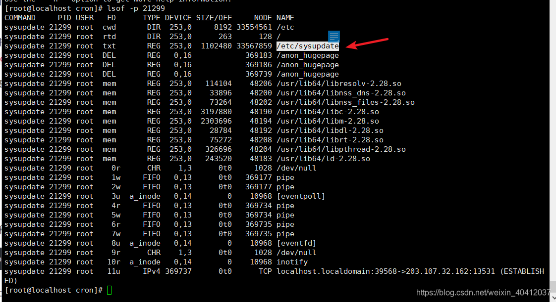 Networkservice citroen com