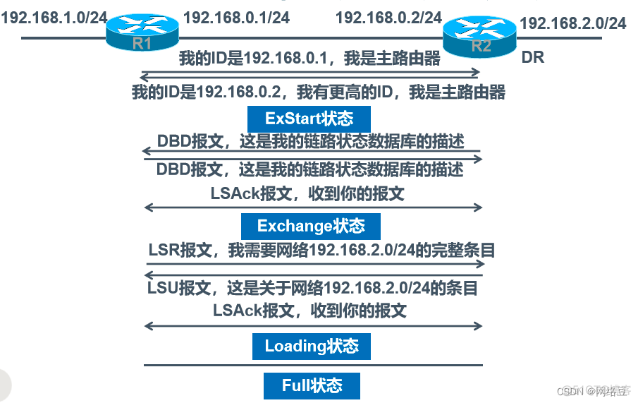 链路状态路由协议 OSPF (三)_devops_02