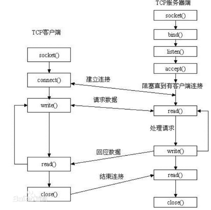 【Socket】Socket相关概念及函数_#include_02