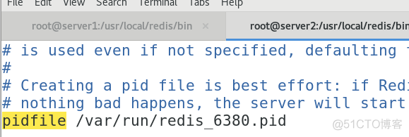 redis实现主从复制_ruby_02