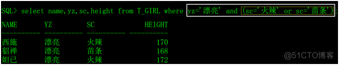 Oracle的where子句_结果集_04