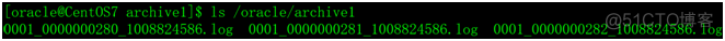Oracle归档日志管理_日志文件_10