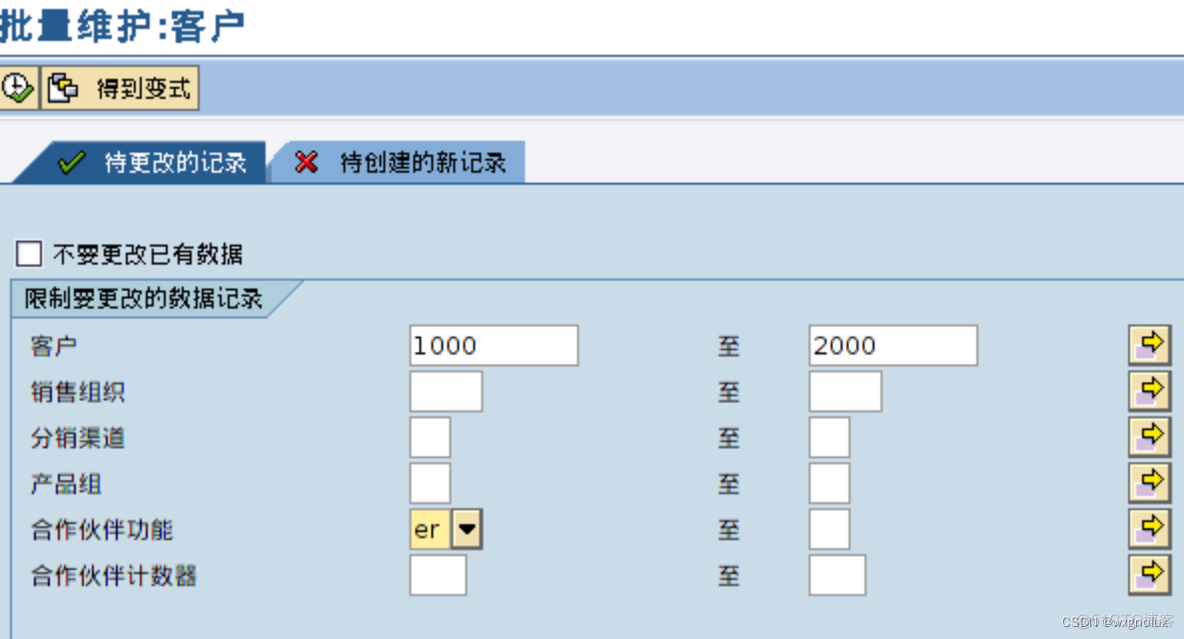 SAP-批量修改主数据-mass_主数据_03