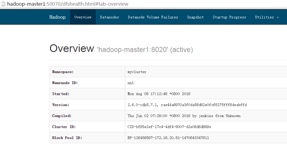 Hadoop 2.0 HA高可用集群配置详解_hadoop_10