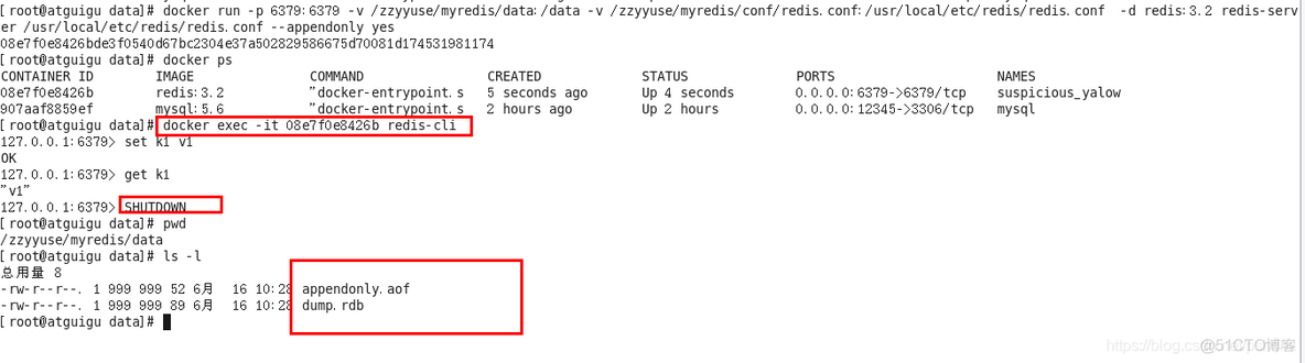 Docker的常用安装+本地镜像发布到阿里云-笔记-全_1024程序员节_10