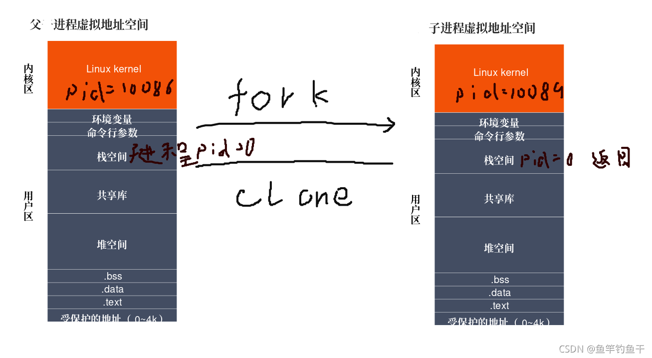 [Linux 高并发服务器] 进程创建以及GDB多进程调试_c语言_02