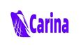 Carina 全新版本 v0.11.0 上线！重磅升级不可错过