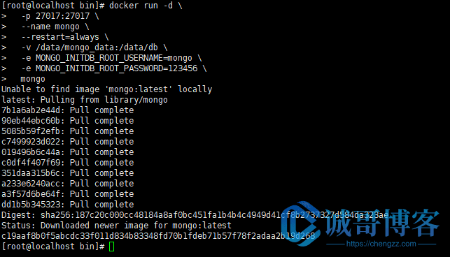 前后端分离开发工具YAPI部署记录_docker