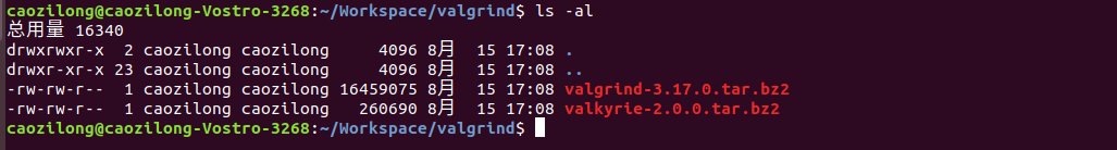 Как установить valgrind ubuntu