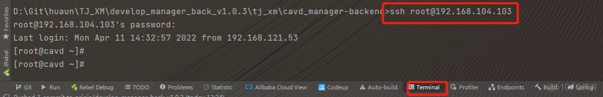 IDEA使用 Alibaba Cloud Toolkit 插件 自动打包部署maven项目至服务器_自动部署_14