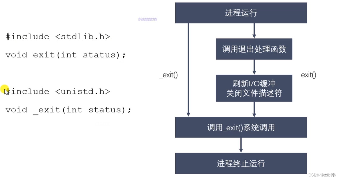 2.7~2.9 进程退出、孤儿进程、僵尸进程、wait_c语言