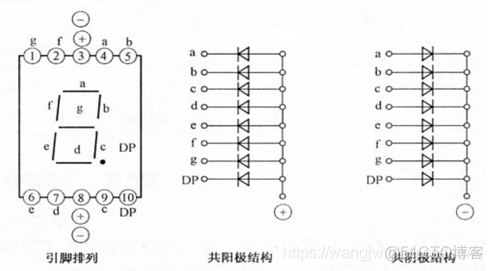 51单片机之静态数码管显示_数码管_02