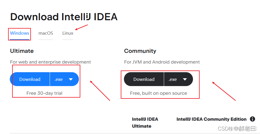 IDEA安装（最新版可激活）_Java_02