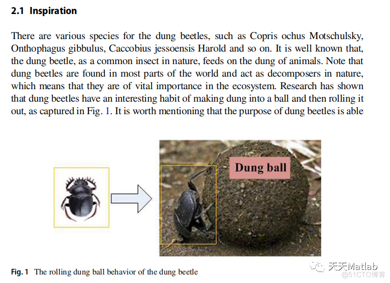 蜣螂优化算法Dung beetle optimizer附matlab代码_ci