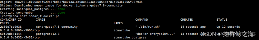 Docker-compose部署SonarQube服务_容器_02