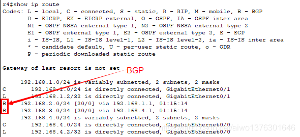 BGP 边界网关协议_边界网关协议_05