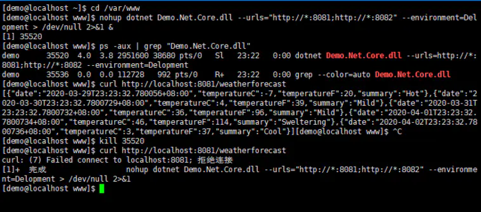 .NET Core项目部署到Linux(Centos7)（七）启动和停止.NET Core项目_重定向_03