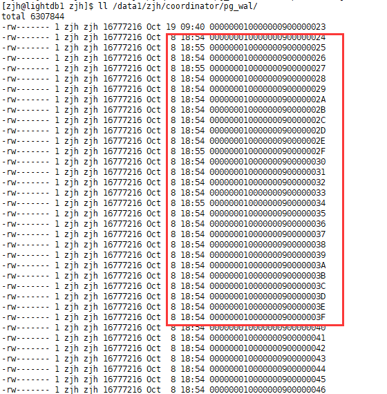 lightdb wal文件误删恢复及归档wal清理_TCP_02