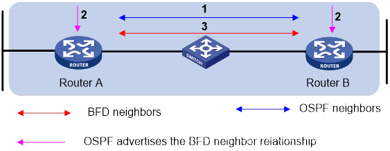 双向转发检测BFD介绍_OSPF