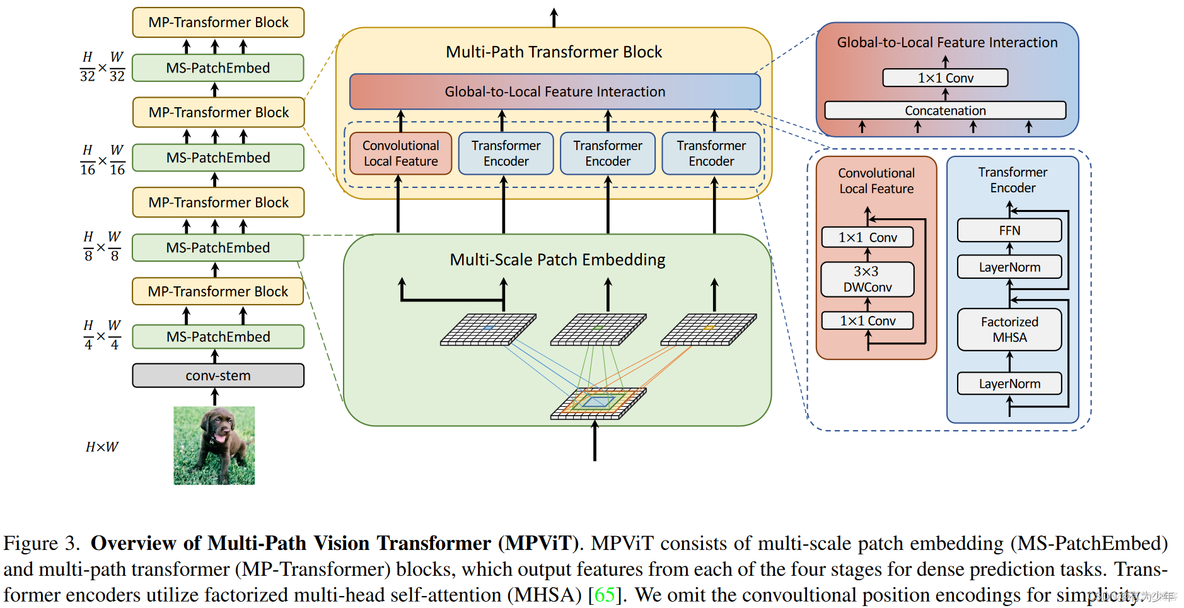 CVPR2022 | MPViT: Multi-Path Vision Transformer for Dense Prediction_注意力机制_04