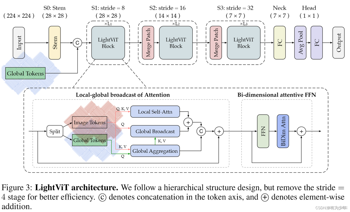 Arxiv 2207 | LightViT: Towards Light-Weight Convolution-Free Vision Transformers_Self_02