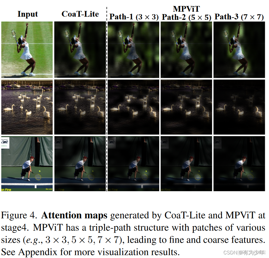 CVPR2022 | MPViT: Multi-Path Vision Transformer for Dense Prediction_计算机视觉_12