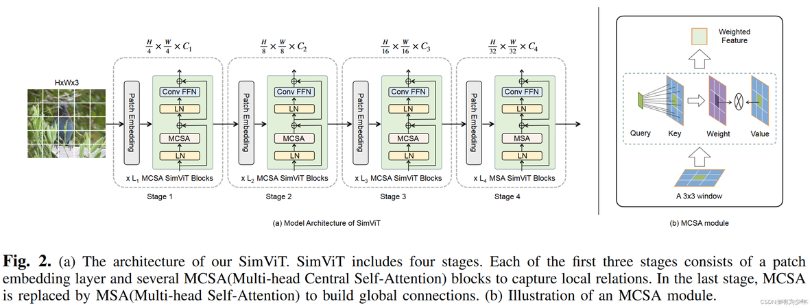 Vision Transformer | Arxiv 2112 - SIMVIT: EXPLORING A SIMPLE VISION TRANSFORMER WITH SLIDING WINDOWS_深度学习_02