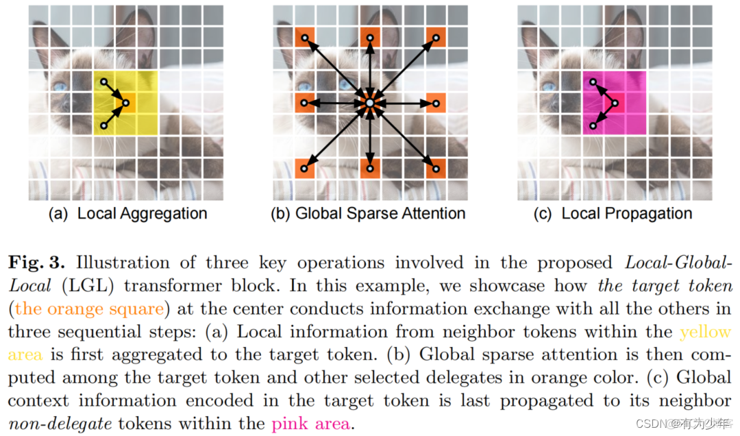 Vision Transformer | Arxiv 2205 - EdgeViTs: Competing Light-weight CNNs on Mobile Devices_深度学习_03