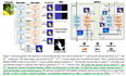 显著性检测之Attentive Feedback Network for Boundary-Aware Salient Object Detection