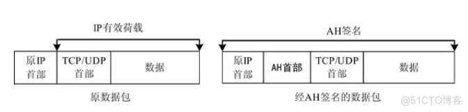 AH协议主要知识点解析_AH协议