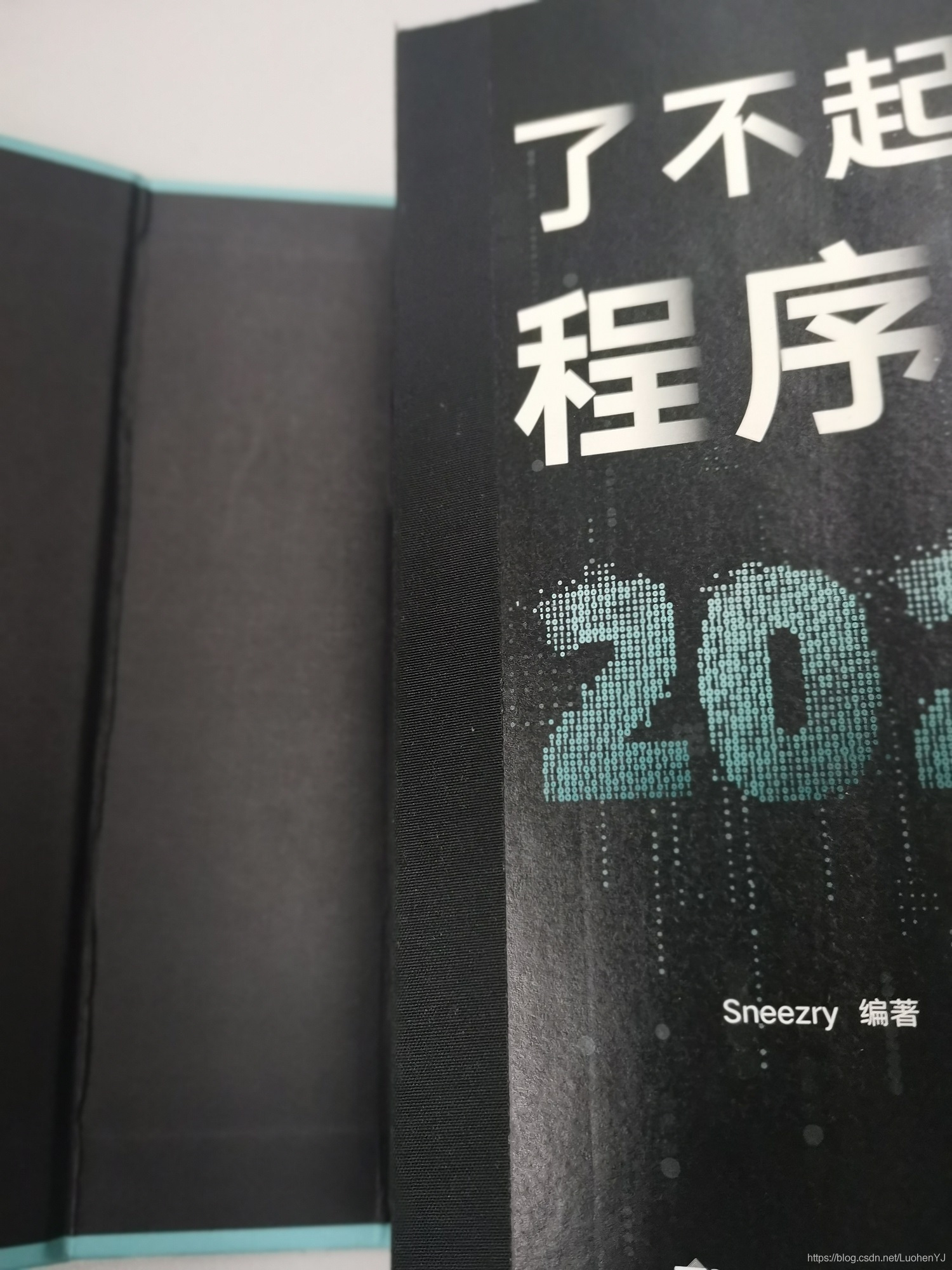 [随笔所想] 2021年新年碎碎念-加油了不起的干饭人！_深度学习_03