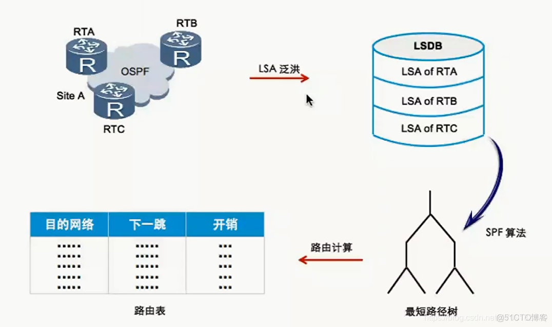 RIP协议、OSPF协议知识点总结--1_链路_03