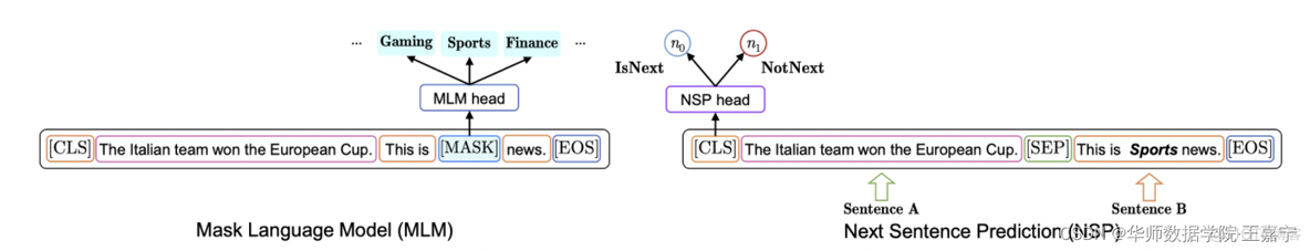 论文解读：NSP-BERT： A Prompt-based Zero-Shot Learner Through an Original Pre-training Task——Next Sentence_语言模型_04