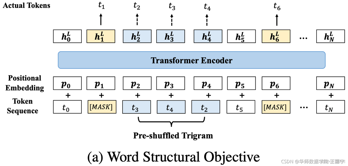 【预训练语言模型】StructBERT: Incorporation Language Structures into Pre-training For Deep Language Understa_自然语言处理