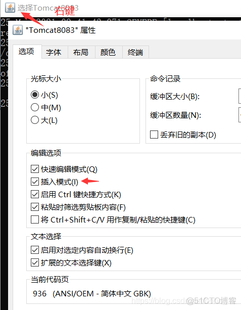 tomcat设置不能选中_解决方案_02