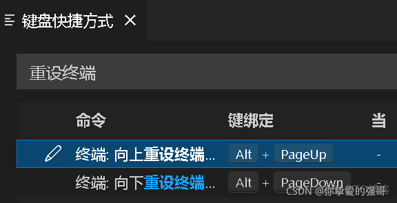 【冷门快捷键】设置VSCode终端大小最小化快捷键Alt+PageUp/PageDown_linux